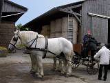 06-dscn4732 La Ferme de Montaumer  La Mesnire  Attelage N 3