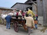 07-dscn4733 La Ferme de Montaumer  La Mesnire  Attelage N 3