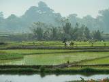 19 bali bedugul tanah lot