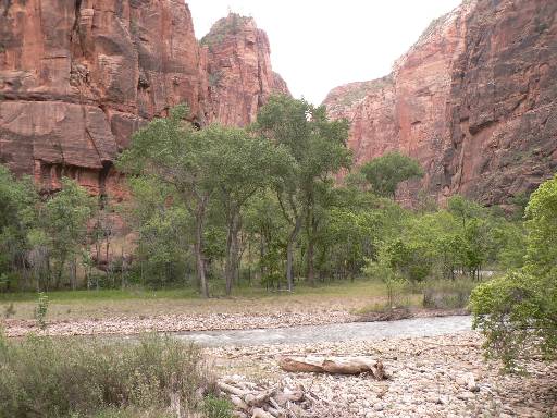 22mai-p1000802 Zion Park  pied