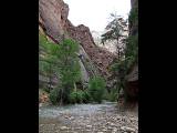 148 Utah - Zion Canyon National Park