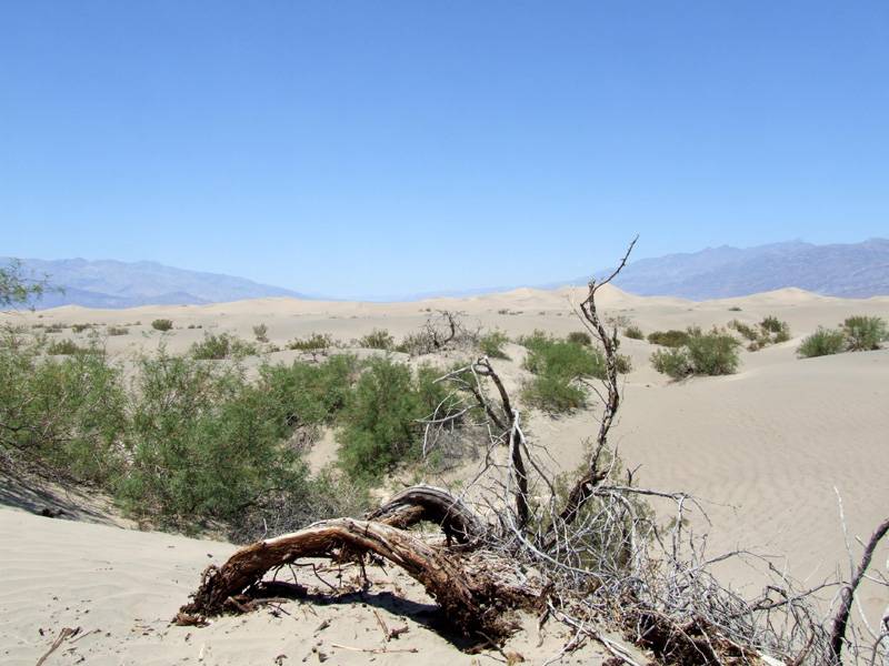 193 Californie - Death Valley